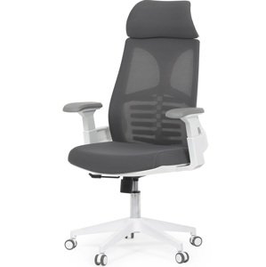 AUTRONIC Kancelářská židle KA-S247 WT, šedá