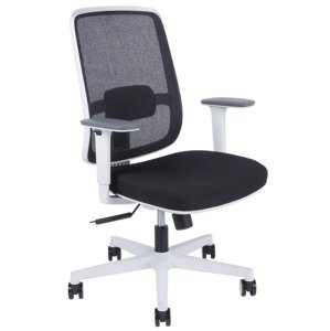 OFFICE PRO kancelářská židle CANTO white BP